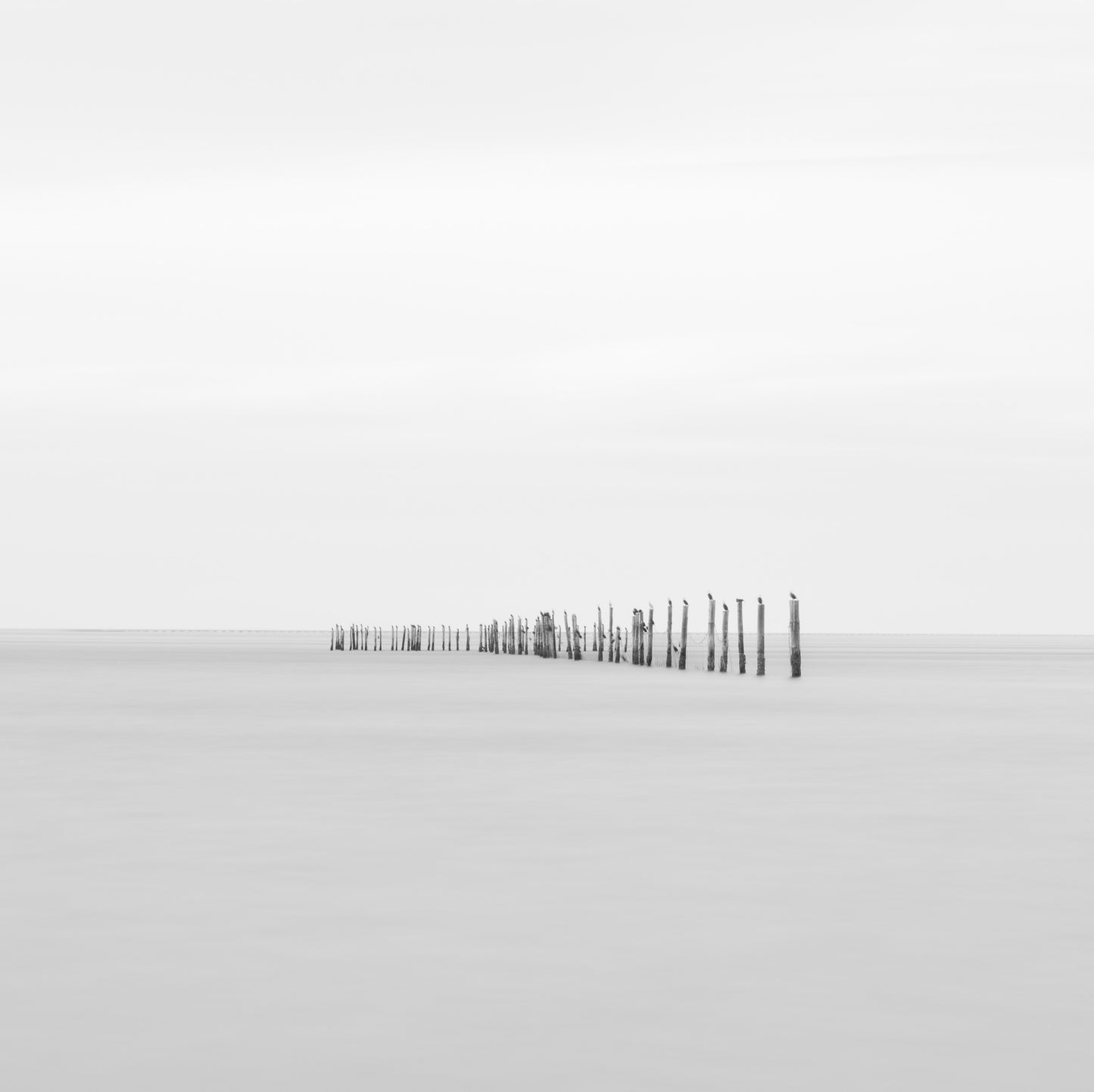Tranquil Bay