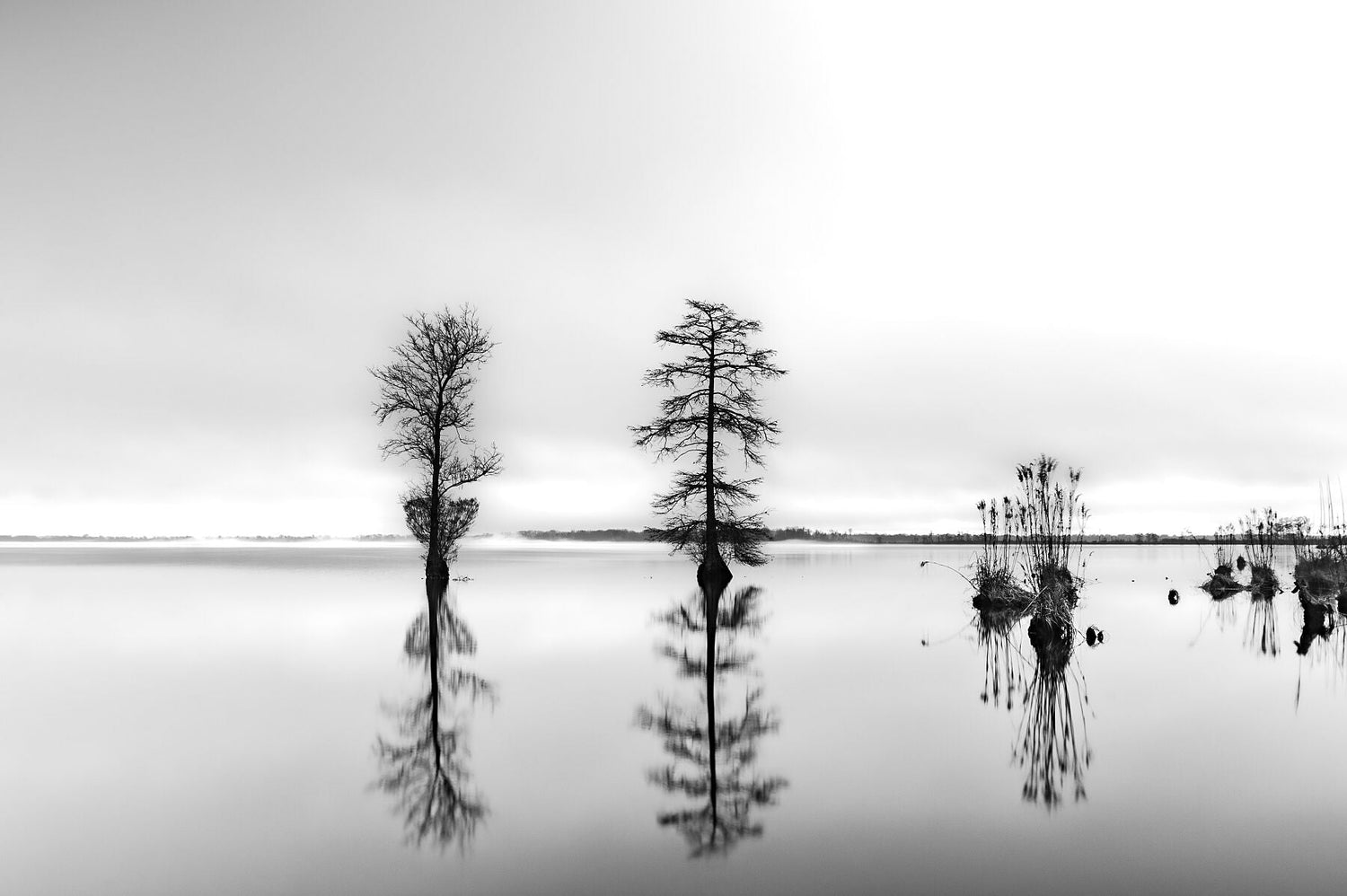 Dew Point