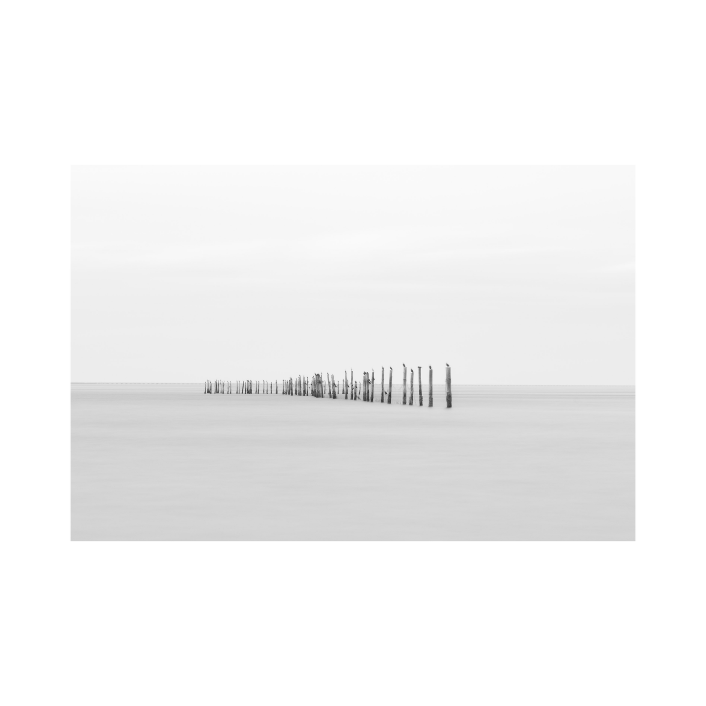 Tranquil Bay