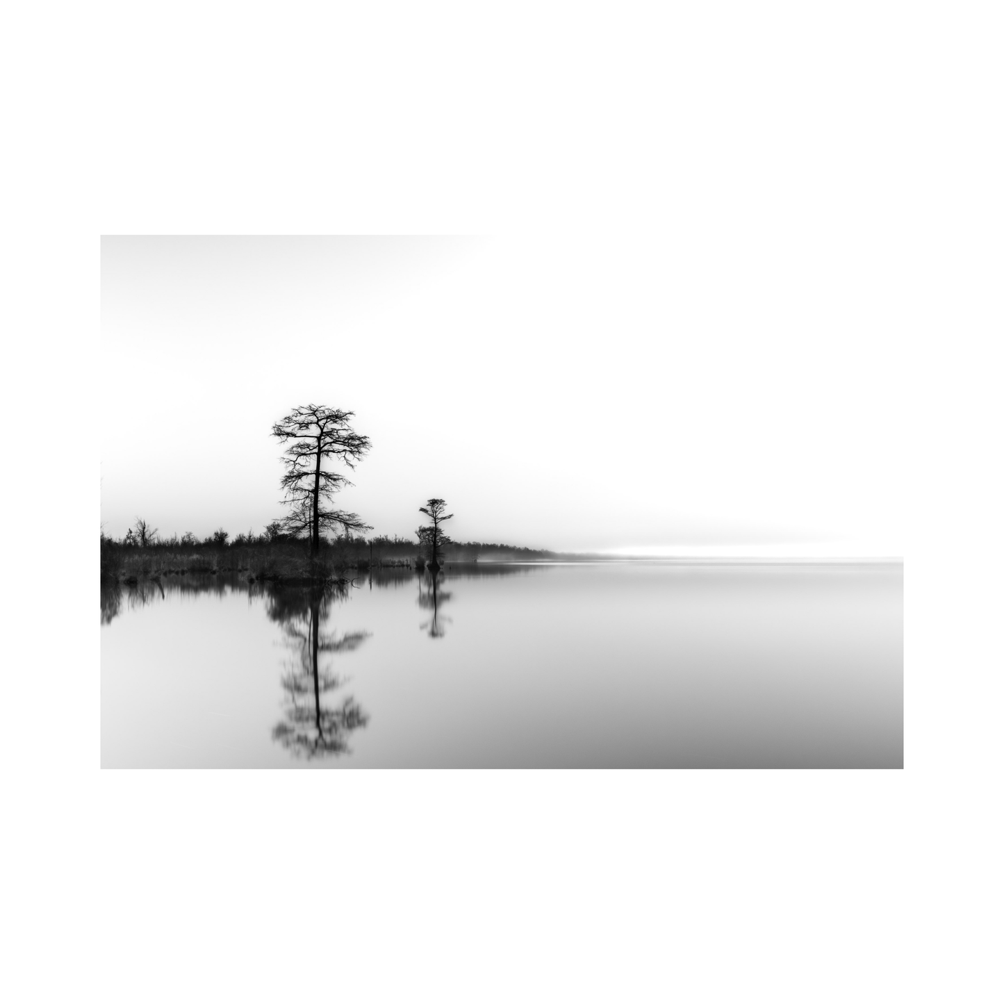 Fog