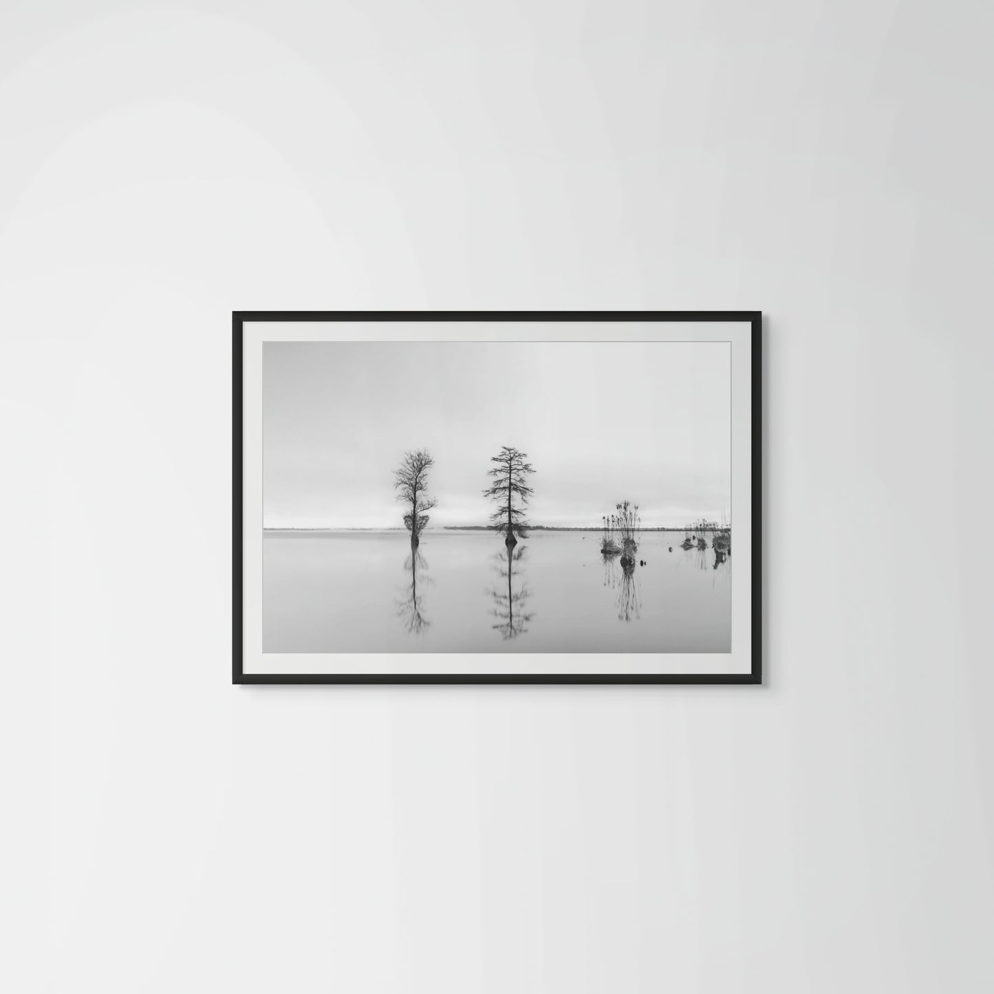 Cypress - Framed
