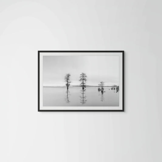 Cypress - Framed