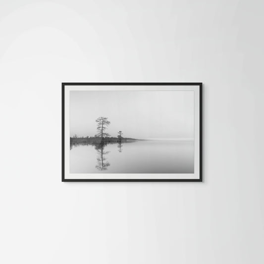 Fog - Framed